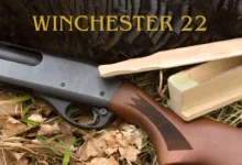 Winchester 22