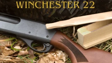 Winchester 22
