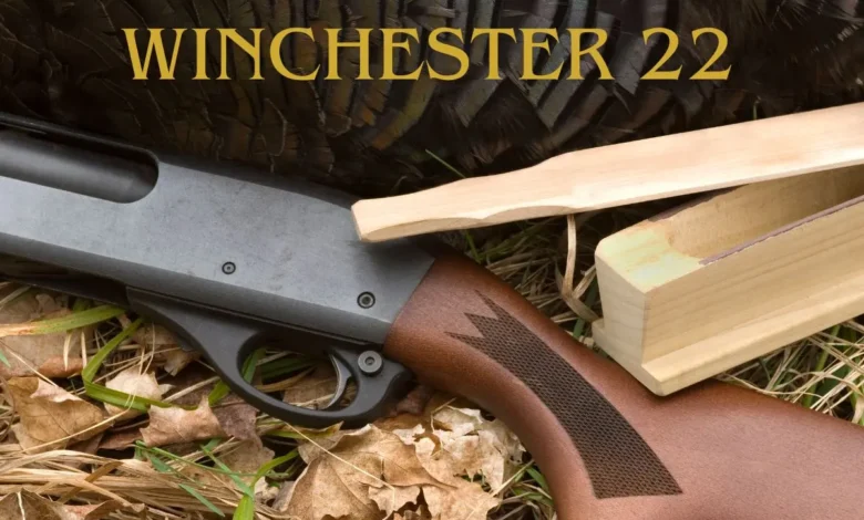 Winchester 22